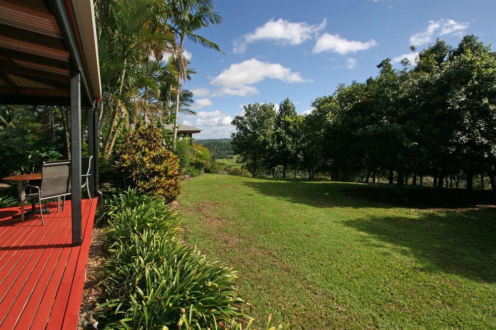 Byron Hinterland Villas Clunes Bagian luar foto
